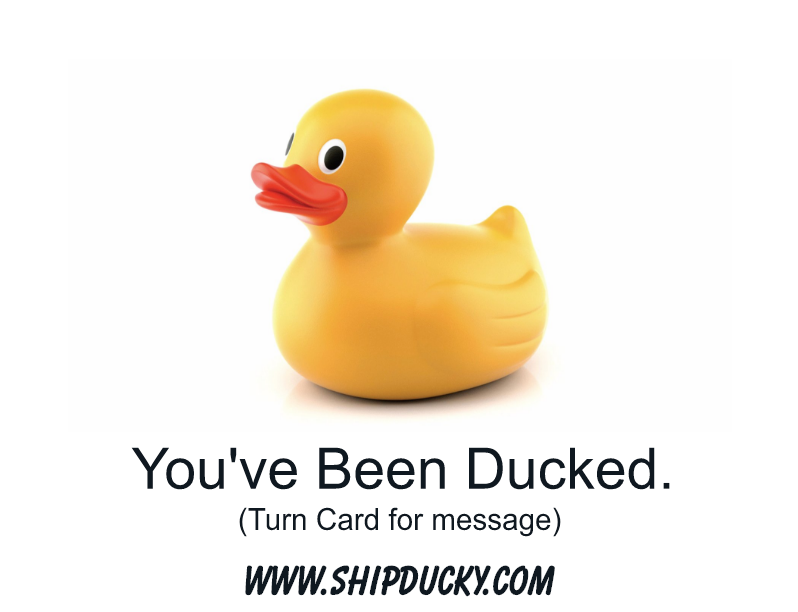 Mr. Spock Mr. Squawk Rubber Duck – ShipDucky